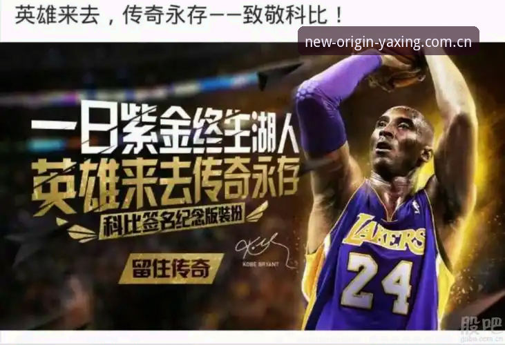 归属站CN数据查询必备 亚星体育平台归属站CN数据查询必备知识:从入门到精通实用指南