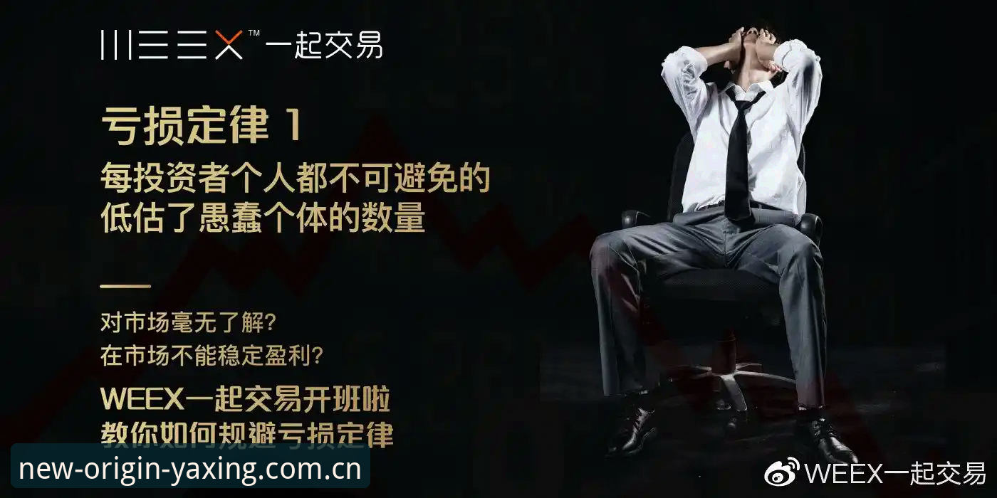 2026数字归属站E3GN中国入口 亚星体育平台使用心得:一个老球迷的数字迁徙日记——2026数字归属站E3GN中国入口实测