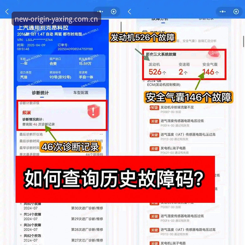 资深用户分享：避开归属站CN数据查询下载的三个常见坑